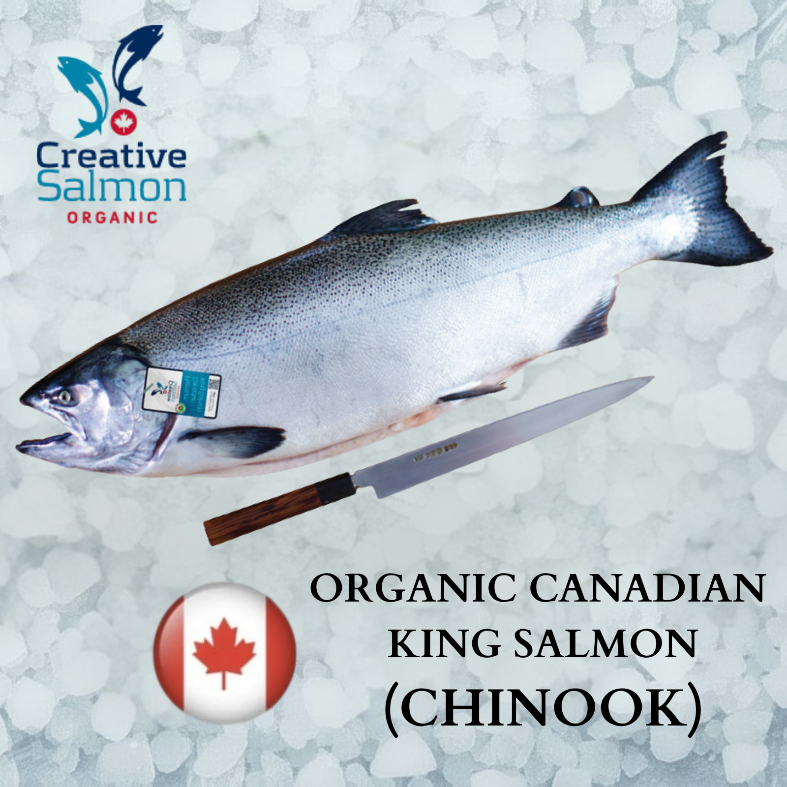Frozen Organic Canadian King Salmon Portion 150g by Creative Salmon