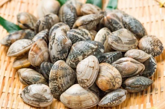 Frozen Flower Clams 500g