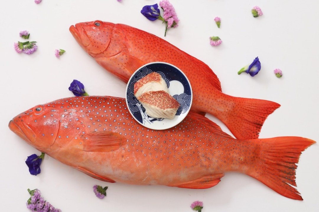 Seafood Bundle (Good for steaming)