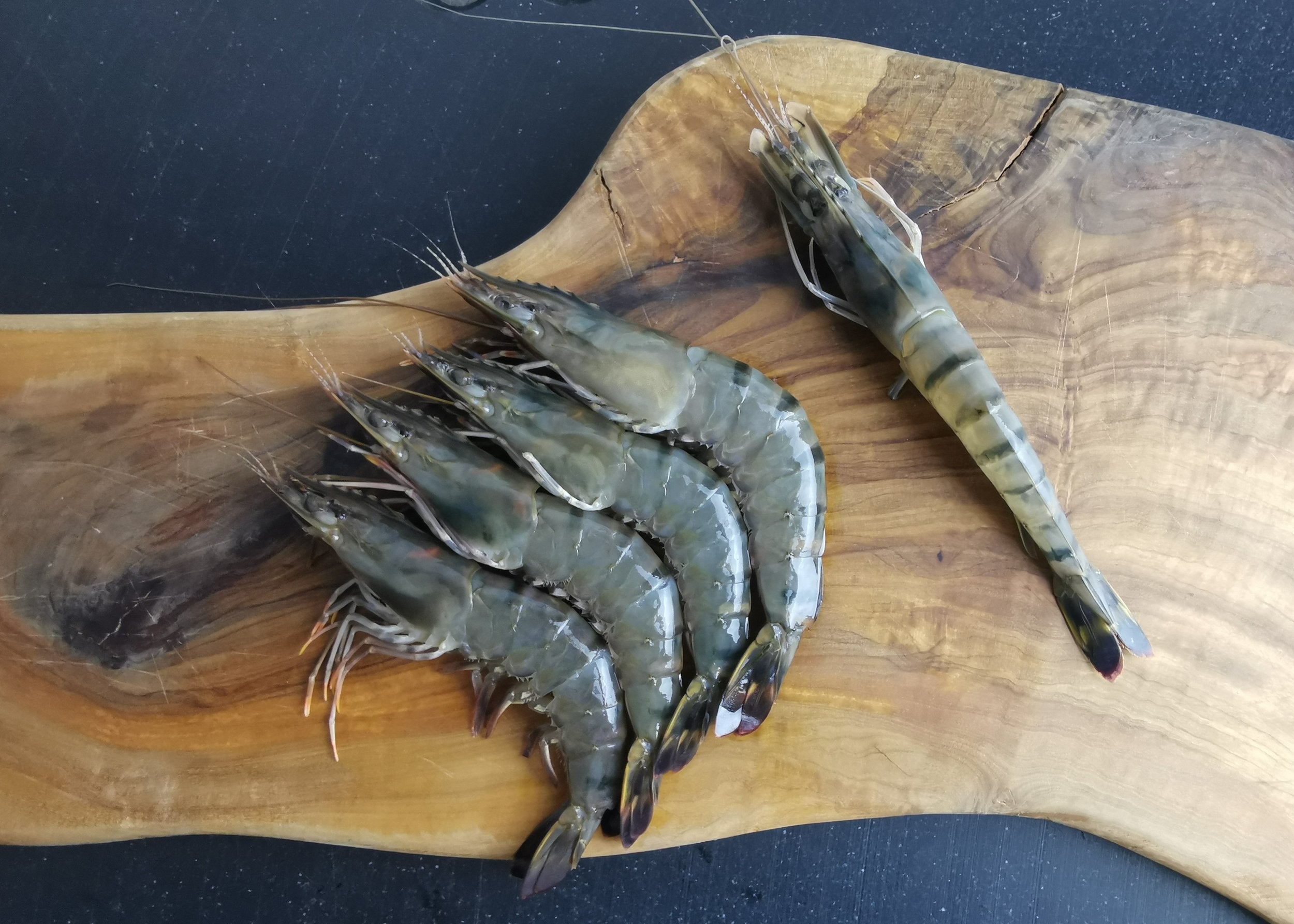 Fresh Tiger Prawn (26-30pcs / KG)