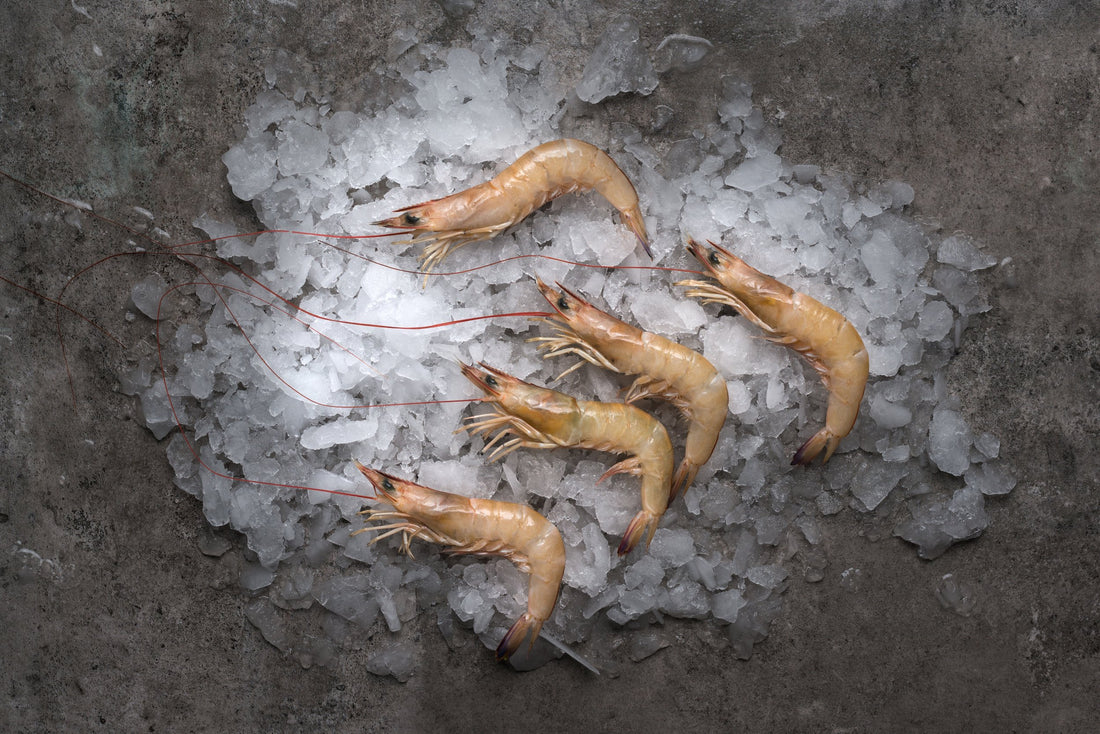 CNY Seafood Bundle (Good for steaming)