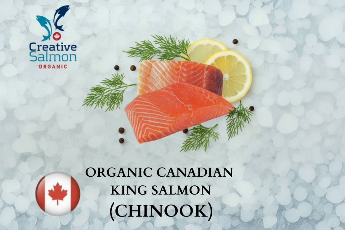 Frozen Organic Canadian King Salmon Portion 150g by Creative Salmon