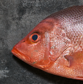 Fresh Crimson Snapper 600/800g