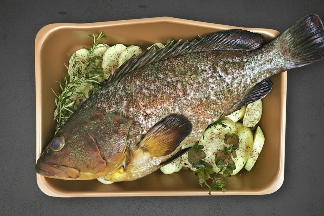 Fresh Dusky Tail Grouper 0.8/1KG