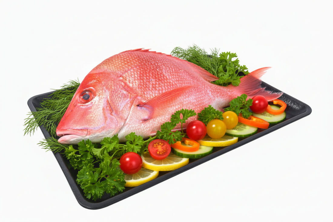 Fresh Emperor Snapper 600/800g