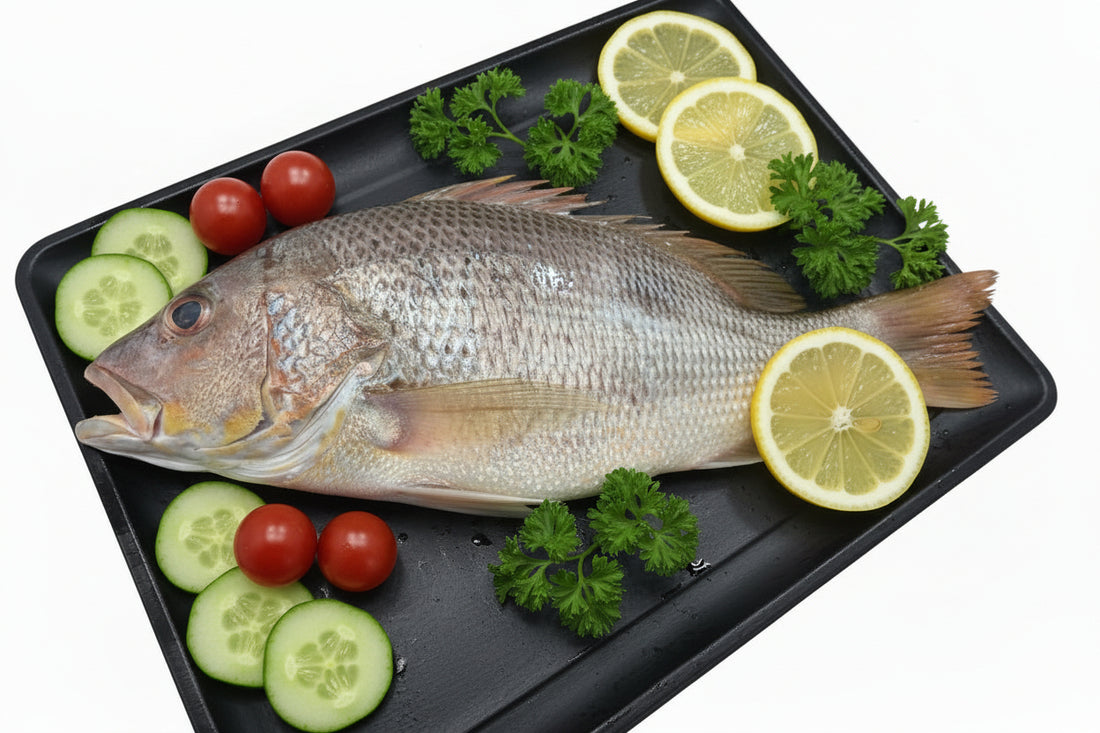 Fresh Golden Snapper 500/700g