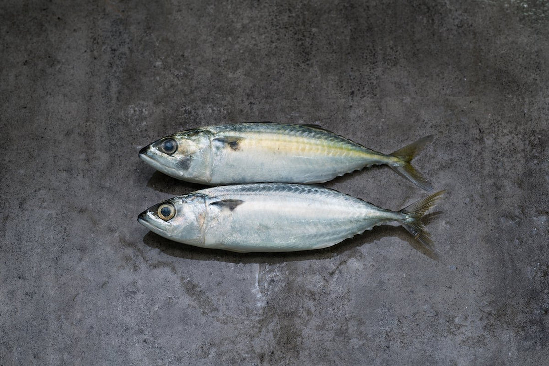 Fresh Kembong 4/6 1kg