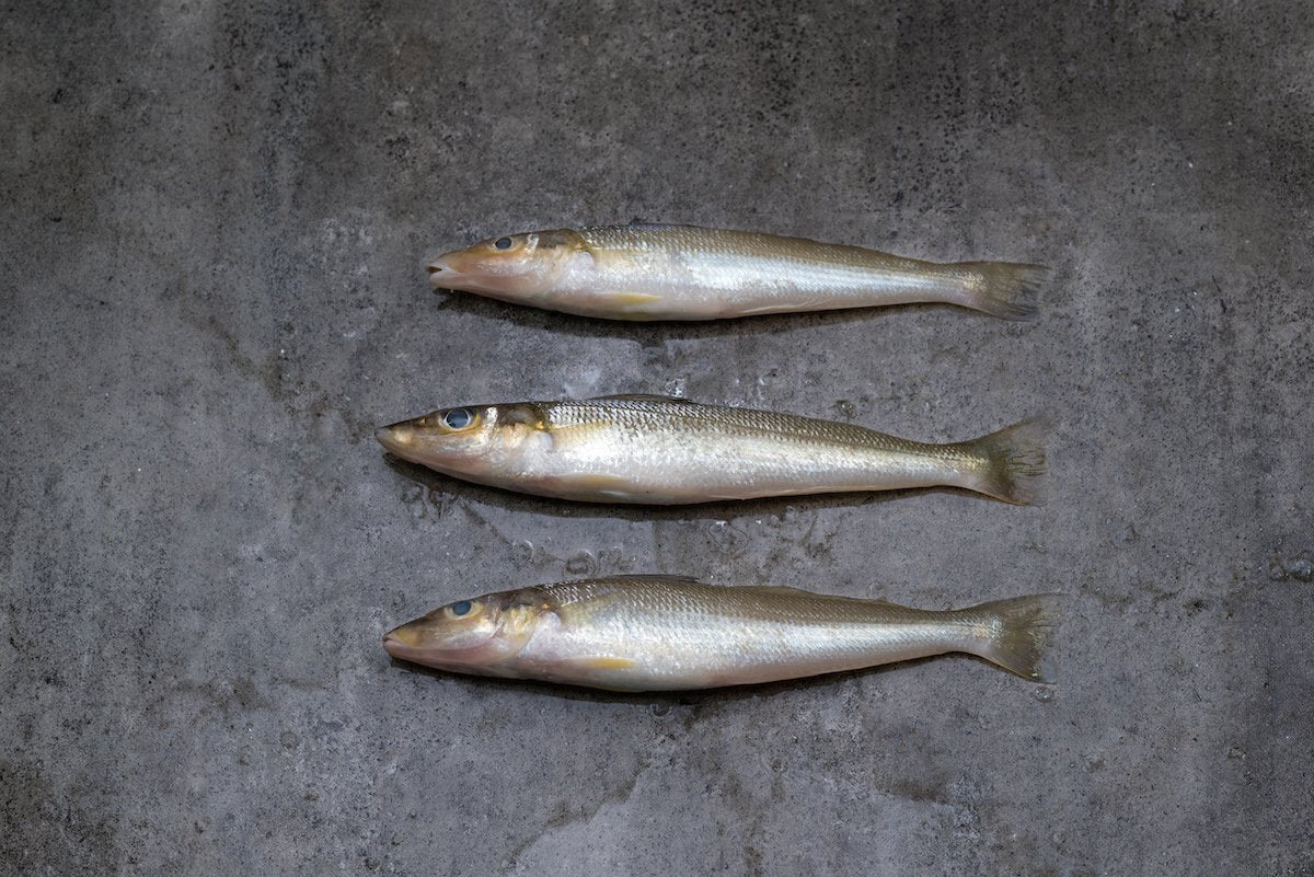 Fresh Smelt (Sua Jiam) 1kg