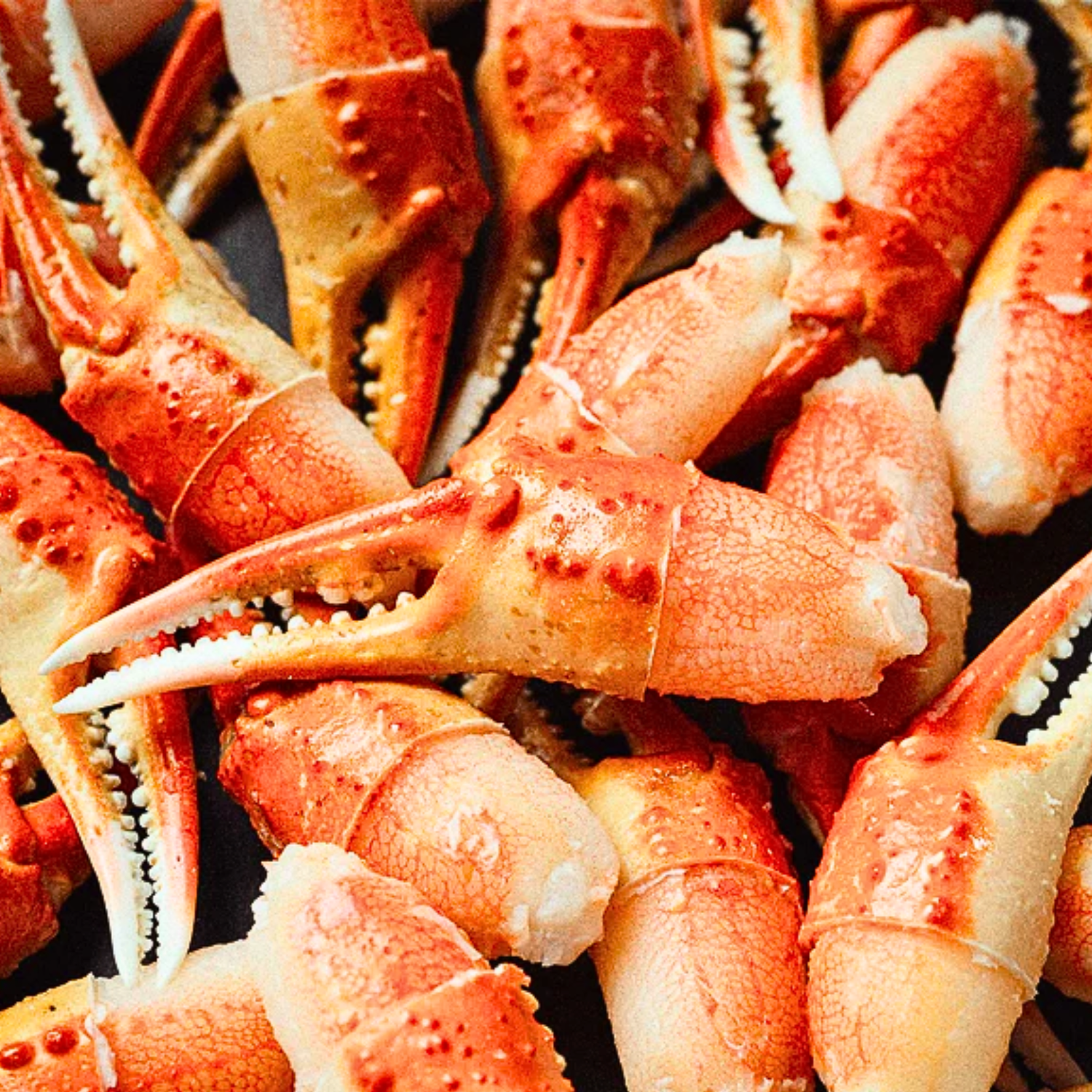 Frozen Premium Grade Jumbo Snow Crab Claw 250g