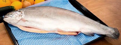 Fresh Ocean Trout 4.5kg &